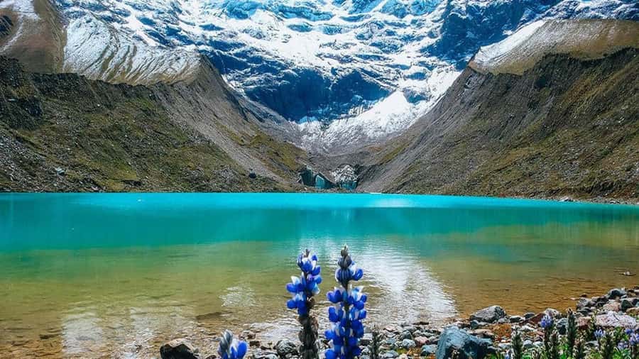 1 day excursion to the Humantay Lake from Cusco. - Key Highlights You’ll Actually Feel on the Day