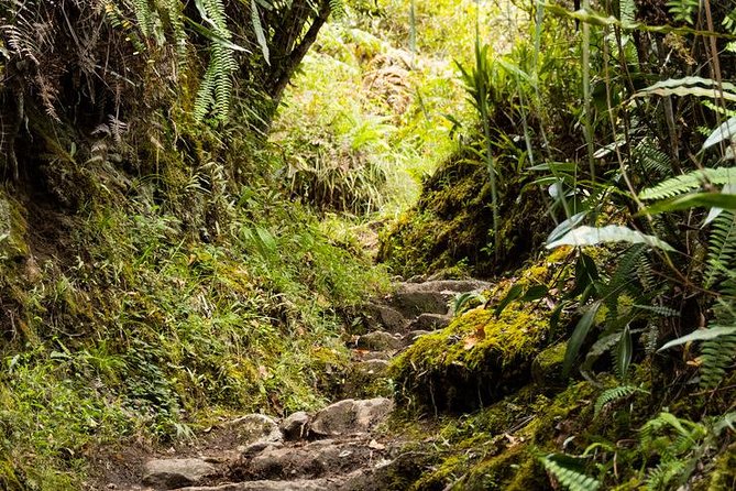 2 Day - Short Inca Trail to Machu Picchu - Group Service - Day 2: 5:30am Bus Up, a 2-Hour Guided Walk, and Time to Roam
