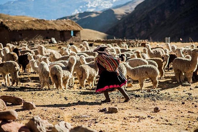 4-Day Lares Trek to Machu Picchu - Your 4-Day Flow: From Cusco Heights to Machu Picchu Morning