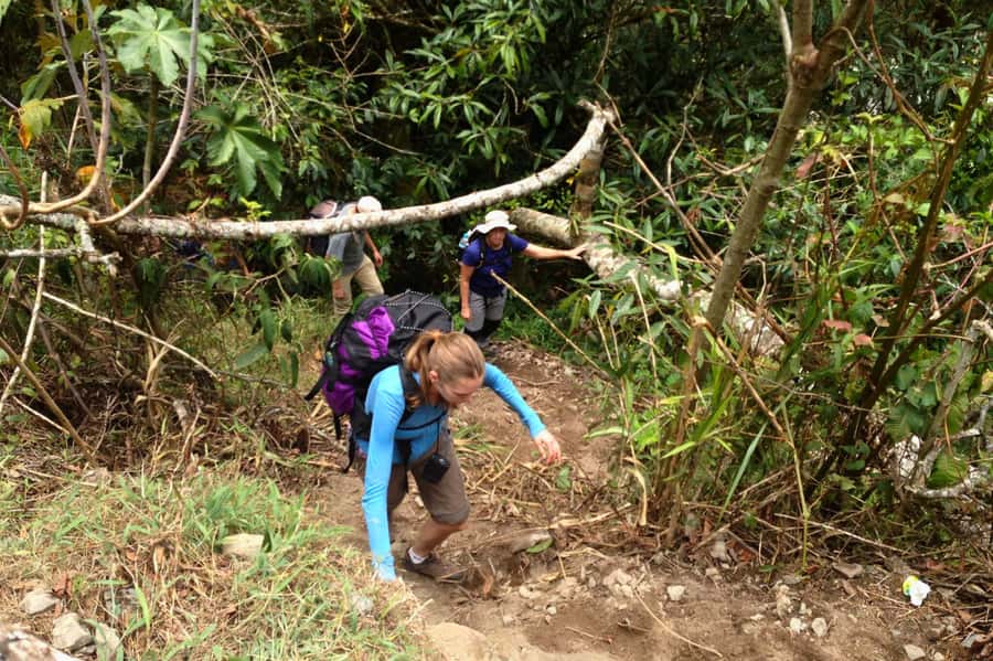 4 Days Inca Jungle Adventure to Machu Picchu - Day 4: Machu Picchu sunrise, guided tour, and optional climbs