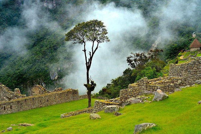 6-Day Cultural Tour to Machu Picchu - Your Last Morning: Cusco’s Historic Center and a Smooth Airport Exit