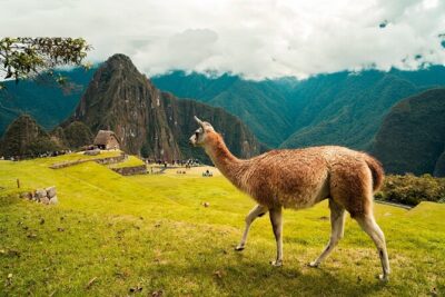 6-Day Tour of Cusco Magico-Machu Picchu-Rainbow Mountain - Sacred Valley in One Long Day: Pisac Textiles, Ollantaytambo Complex, and Train to Aguas Calientes