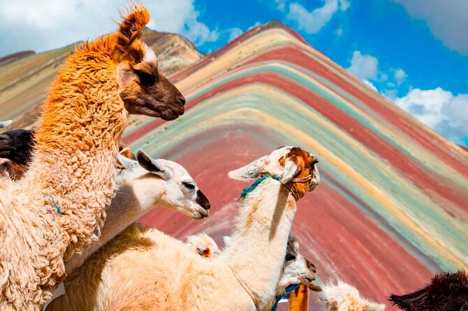6-Day Tour of Cusco Magico-Machu Picchu-Rainbow Mountain - Rainbow Mountain (Vinicunca): Early Pickup, Phulawasipata, and the 1h40 Climb