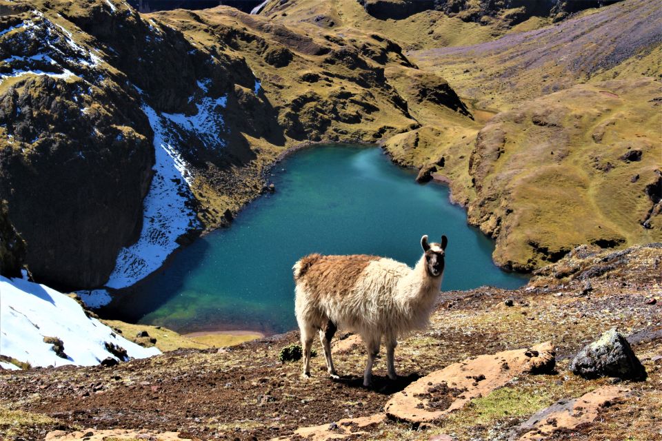 Cusco: 4-Day Lares Trek to Machu Picchu with Panoramic Train - Value for $690: what you’re really paying for