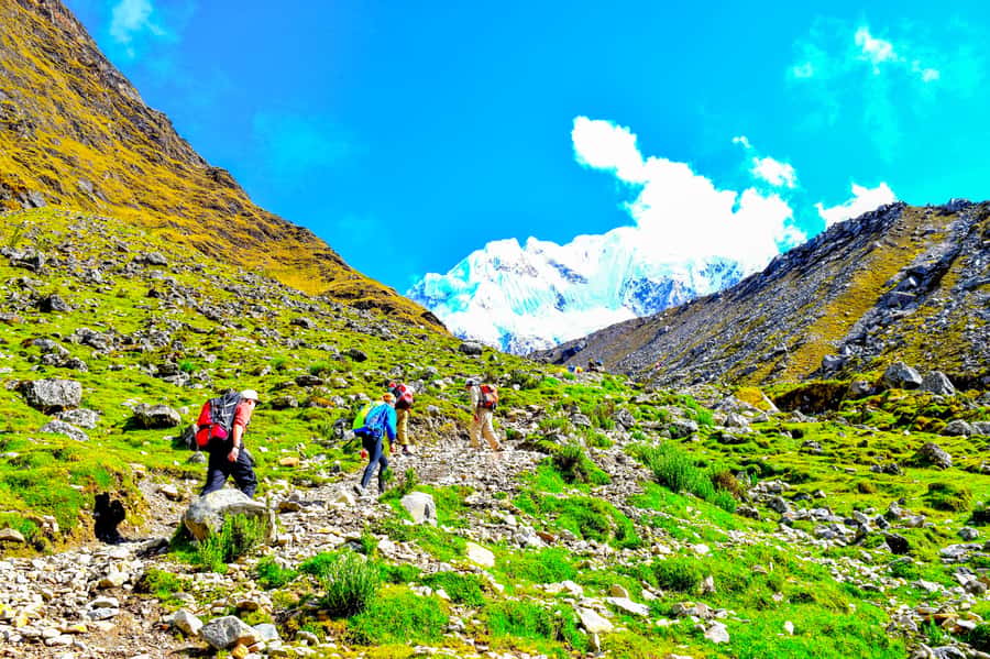 Cusco: 5-Day Salkantay Ultimate Trek to Machu Picchu - Day 1: Soraypampa to Humantay Lake and your first big altitude taste