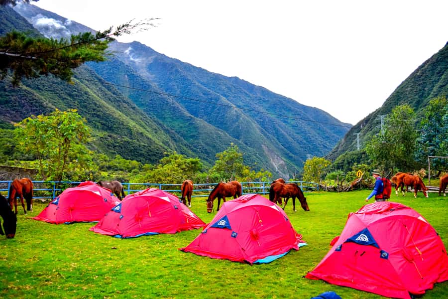 Cusco: 5-Day Salkantay Ultimate Trek to Machu Picchu - Day 2: The Salkantay Pass high point, then the drop into lush jungle
