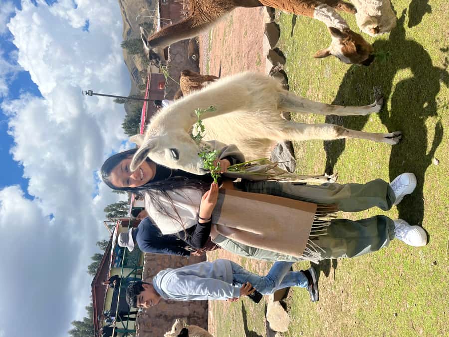 Cusco: Archeological Sites Tour and Forest Photo Experience - Qenqo forest photo session: where the souvenir becomes real