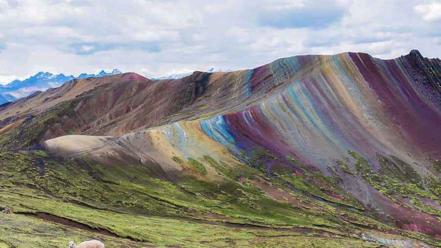 Cusco : Full day Palcoyo Mountain of colors - Palcoyo Mountain of Colors: why this day trip feels special