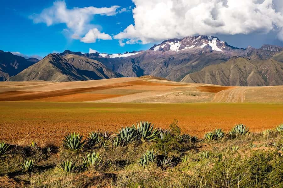 Cusco: Moray, Maras Salt Mines, and Chinchero Weavers Tour - Should you book the Cusco: Moray, Maras Salt Mines, and Chinchero tour?