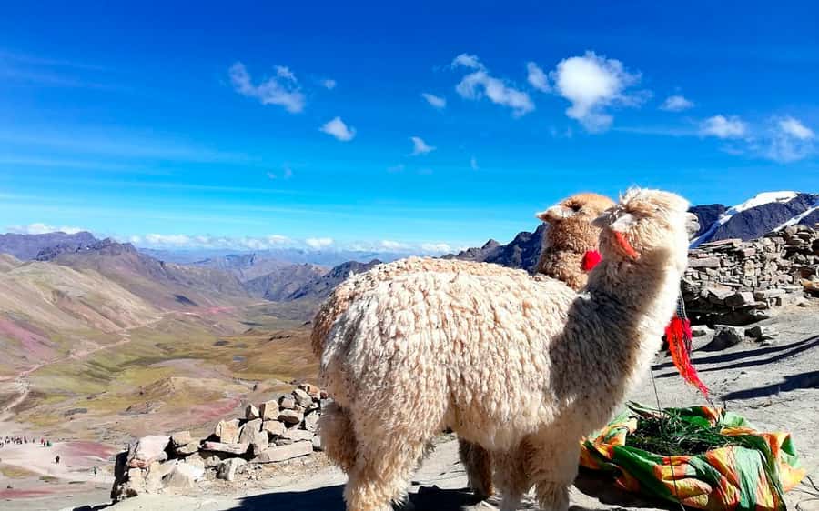 Cusco: Mountain of 7 colors Vinicunca and the Red Valley (optional) - Price and value: what $23 covers (and what doesn’t)
