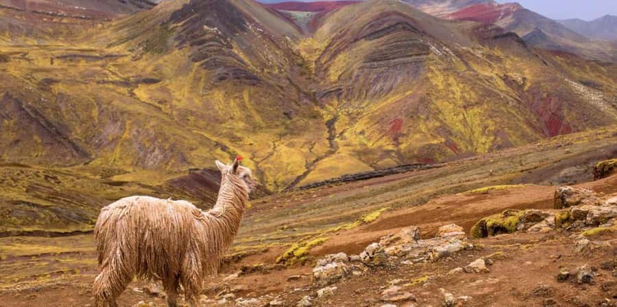Cusco : Palcoyo - Rainbow Mountain Hidden Sister - Palcoyo vs. Rainbow Mountain: Why This “Sister” Hike Feels Different