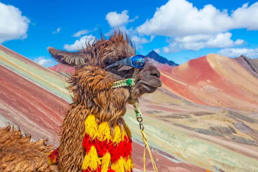 Cusco : Rainbow Mountain and Red Valley Tour - Phulawasipata Parking: Horses, Gear Prep, and the First Real Views