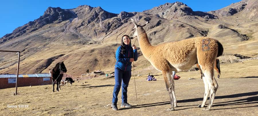 Cusco: Rainbow Mountain & Red Valley Tour with Picnic meals - Coming back down and picnic lunch at the trailhead