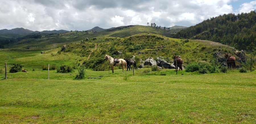 Cusco: Sacsayhuaman Guided Tour and 1-Hour Horseback Ride - What to Bring (So You Don’t Feel Miserable in the Saddle)
