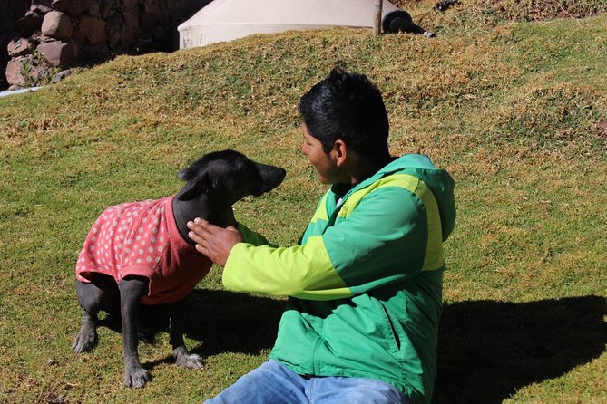 Cusco Santuario de Animales Rescatados en Cusco - The support model behind the scenes: alpaca products with a purpose