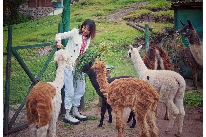 Cusco Santuario de Animales Rescatados en Cusco - Price and time: is $34 good value here?