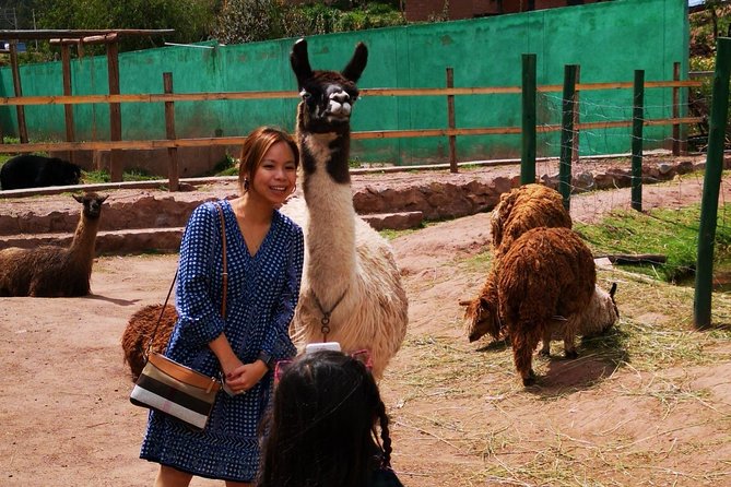 Cusco Santuario de Animales Rescatados en Cusco - Logistics that matter once you’re there