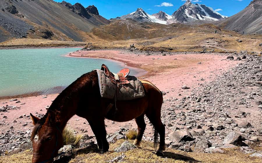 Excursion: Explore in one day the 7 lakes of Ausangate from Cusco - Why the Ausangate Seven Lakes Trek Fits Into a Single Long Day
