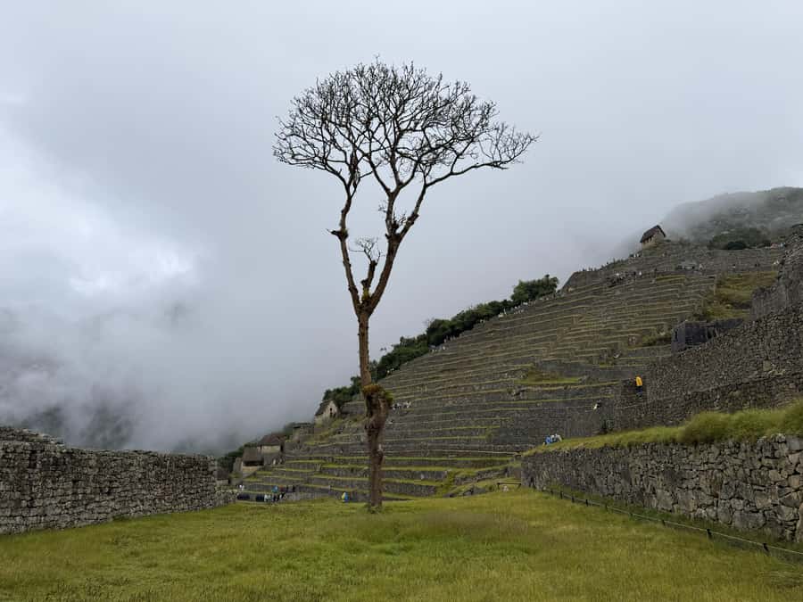 Excursion from Cusco to Machu Picchu + Entrance Tickets Incl - Free time at Machu Picchu: how to use it well
