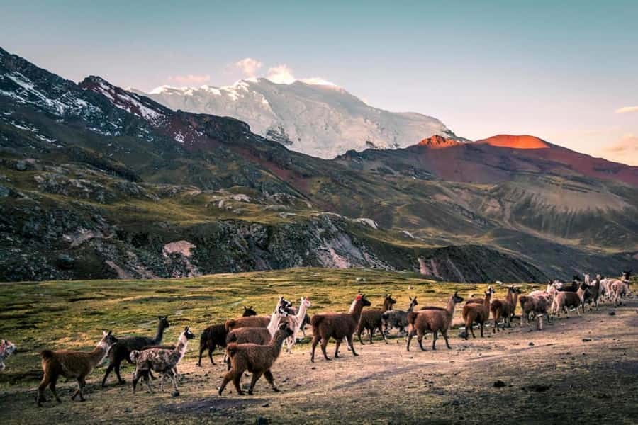 Excursion: Rainbow Mountain and Ausangate 7 Lagoons 2 days - Pace, transport, and group size: how to make this trip feel easier