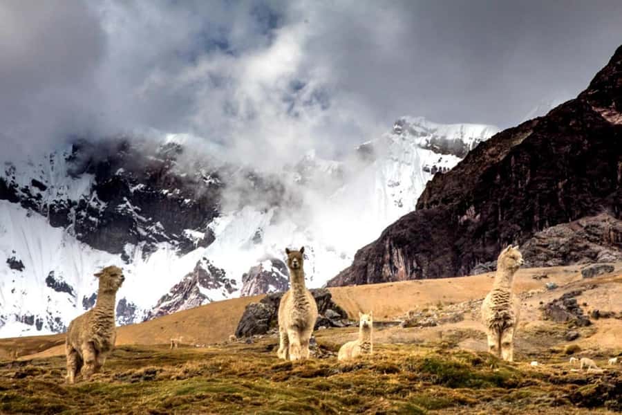 Excursion: Rainbow Mountain and Ausangate 7 Lagoons 2 days - What to bring for cold, altitude, and long walks