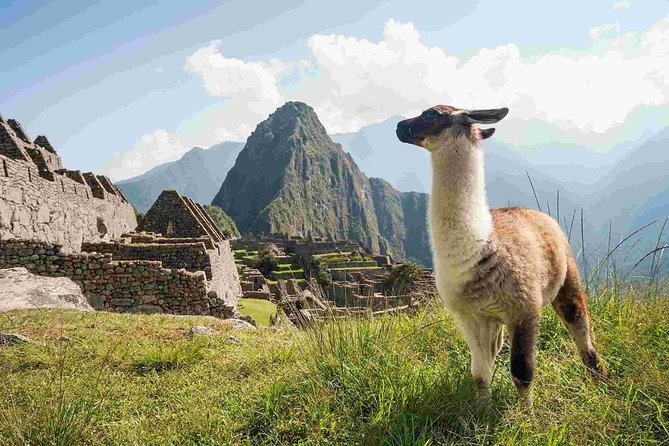 Excursion to MachuPicchu from Cusco with lunch | Private Service| - Guided Machu Picchu: what the 2-hour visit really means