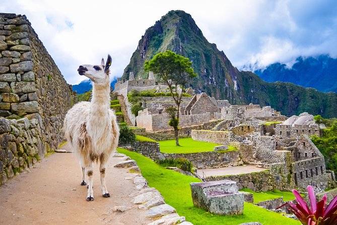 Excursion to MachuPicchu with Train Vistadome Full Day - The $403.75 price: what you’re paying for (and what you’re not)