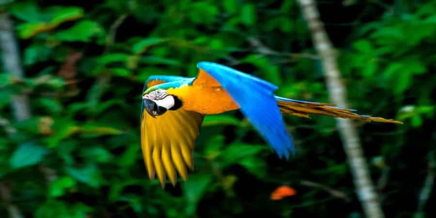 From Cusco: 4 Day Puerto Maldonado Sandoval Lake Excursion - Key Highlights You’ll Feel Immediately