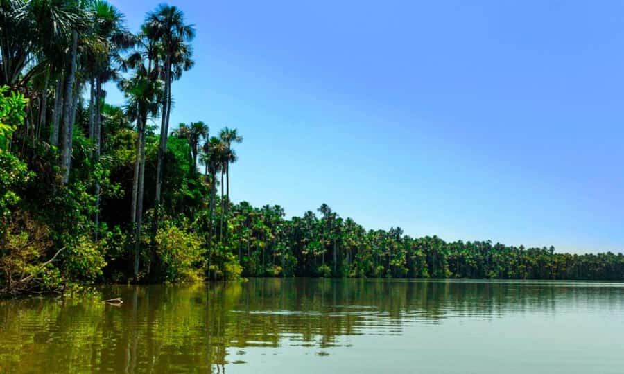 From Cusco: 4 Day Puerto Maldonado Sandoval Lake Excursion - What to Pack (So You Don’t Hate Day 2)