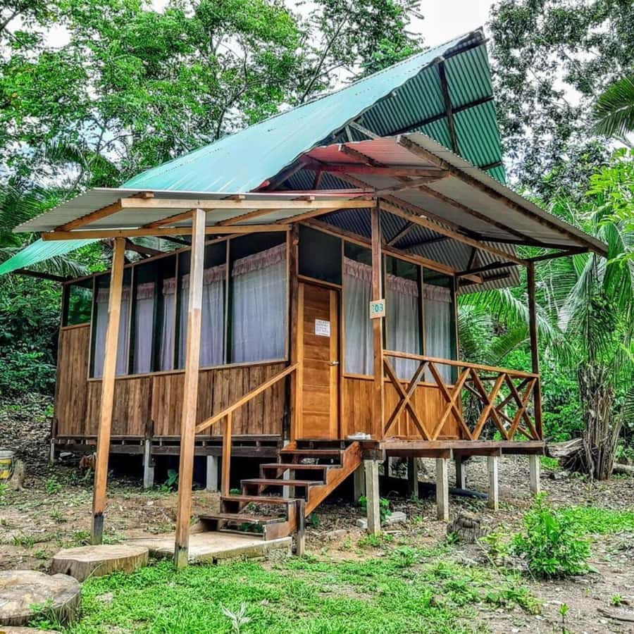 From Cusco: Amazon jungle for two days with sleeper bus and private lodge - Day 2: Tambopata National Reserve walk (3 km) and Sandoval Lake paddling