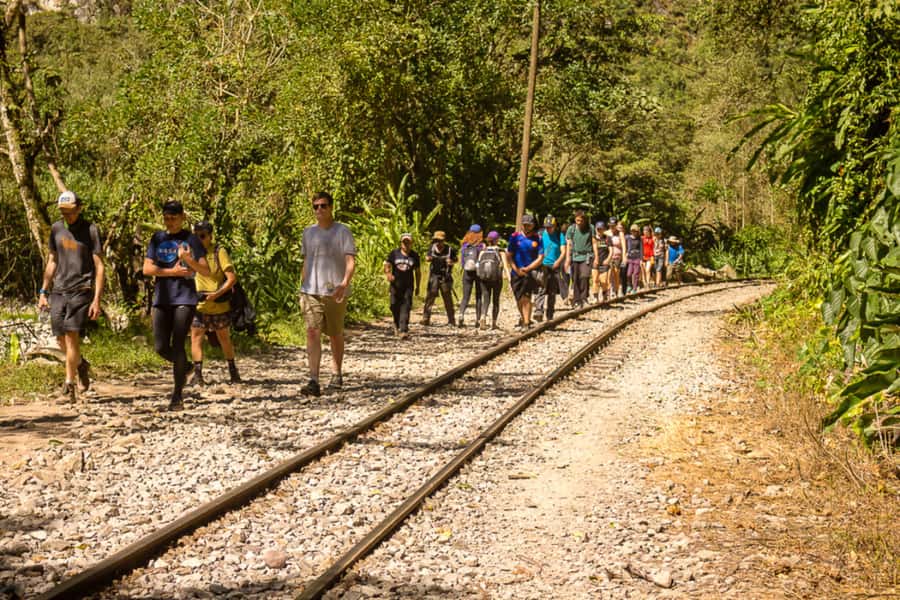 From Cusco: Full-Day Round-Trip Train Tour to Machu Picchu - The three departure options from Cusco (and who each one fits)