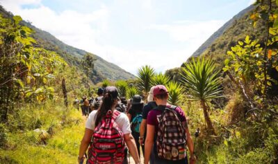 From Cusco: Full-Day Round-Trip Train Tour to Machu Picchu - Cusco pickup, timing, and why the day feels long (but organized)