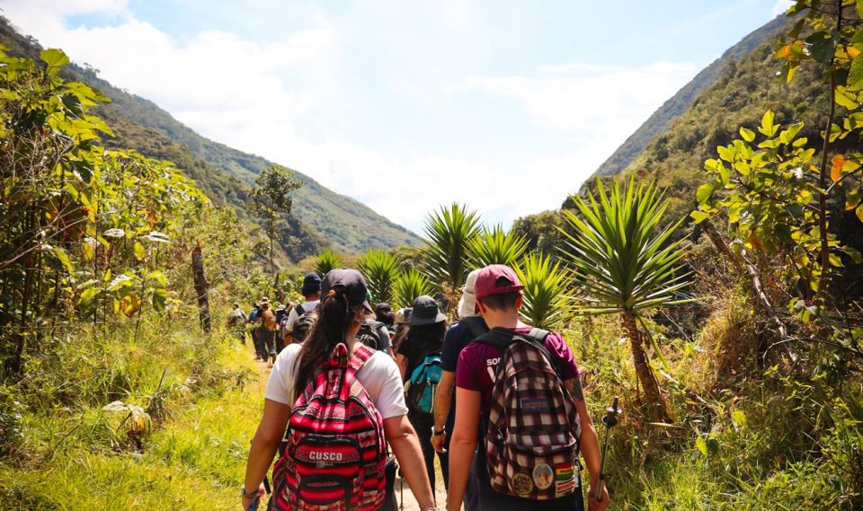 From Cusco: Full-Day Round-Trip Train Tour to Machu Picchu - So, should you book this Cusco-to-Machu Picchu train day?