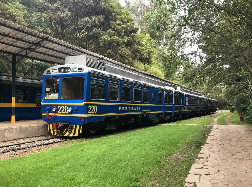 From Cusco: Machu Picchu Private Day Trip on Panoramic Train - Who this trip fits best