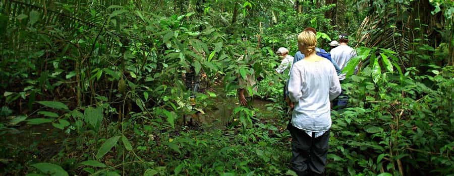 From Cusco: Manu National Park 3 Day Tour - Why This 3-Day Manu Route Works from Cusco