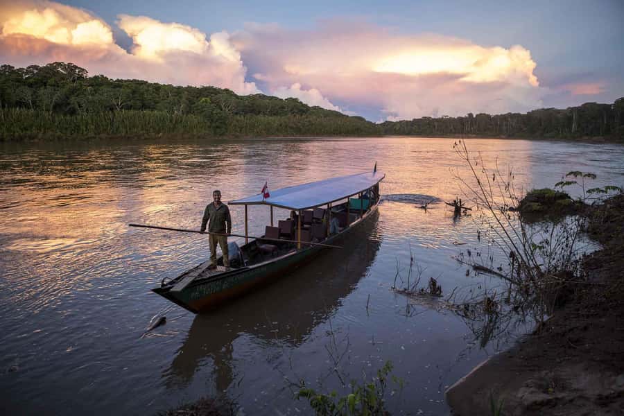 From Cusco: Manu National Park 3 Day Tour - Day 2 Swamp Wildlife and Caiman Searching