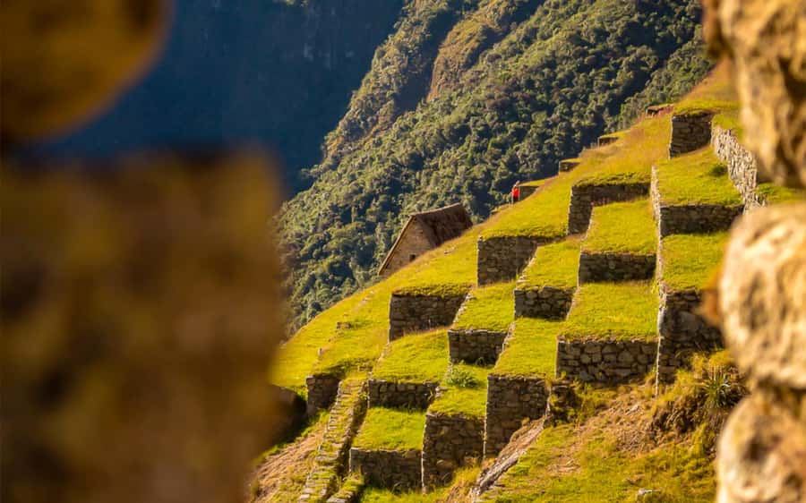 From Cusco: One-Day Round Trip to Machu Picchu by Train - Bus up to the citadel: your ticket and your circuit choice