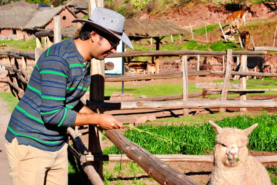 From Cusco: Private Pisac Ruins and Alpaca Farm Day Trip - Following the Route Into Pisac: Inca Trail to the Religious Sector