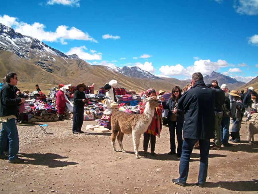 From Cusco: Puno and Uros Islands 2-Day Trip - Return to Puno and the Night Bus Back to Cusco