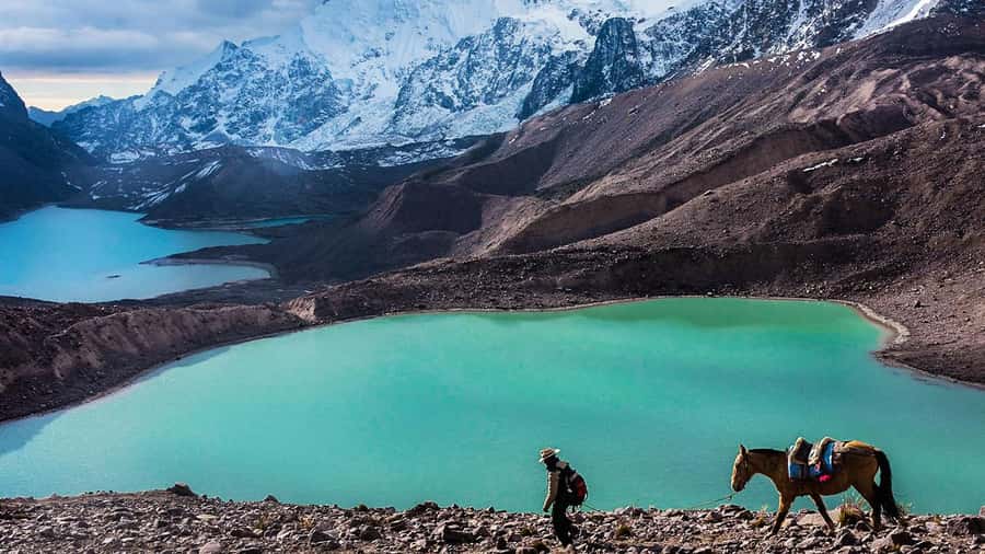 From Cusco: Salkantay trek 5 days/4 nights meals included - Altitude reality check: Salkantay Pass at 4,650 m