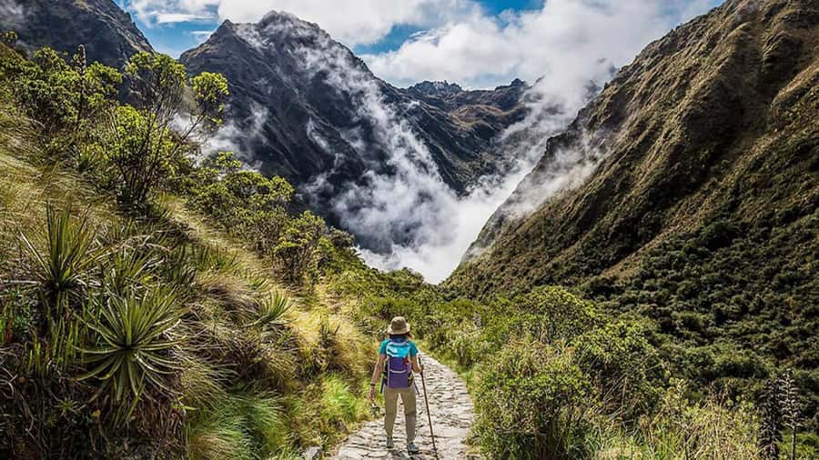 From Cusco: Salkantay trek 5 days/4 nights meals included - Food, chef, and vegetarian options that keep you moving