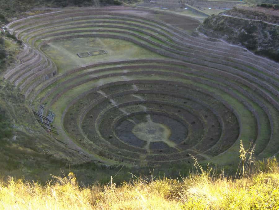 From Ollantaytambo:Private tour to Maras and Moray half day - The best part of a private guide: you get answers, not just directions