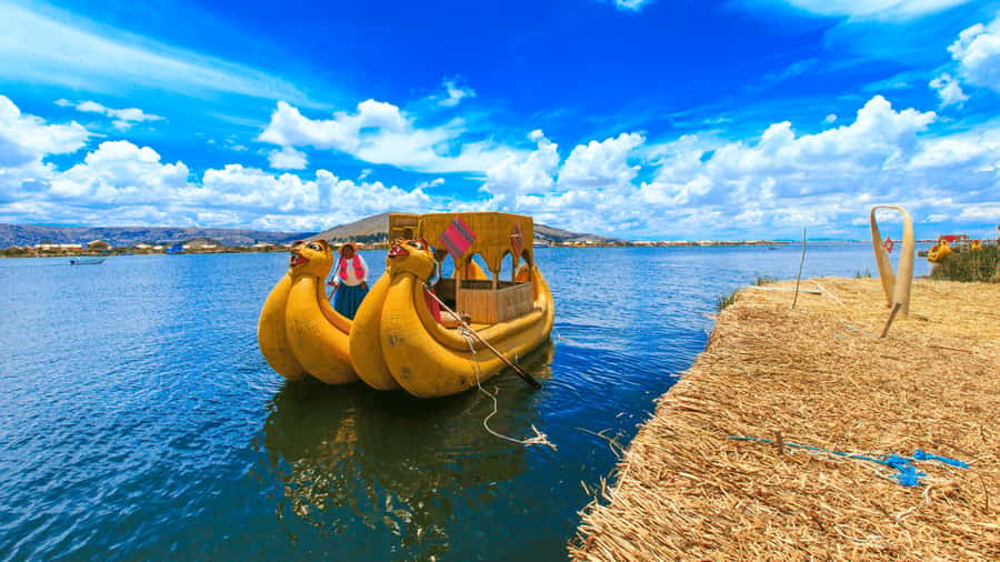 From Puno: Travel to Cusco in Titicaca Train All Inclusive - Live Music, Dancing, and the Piso Sour Demo