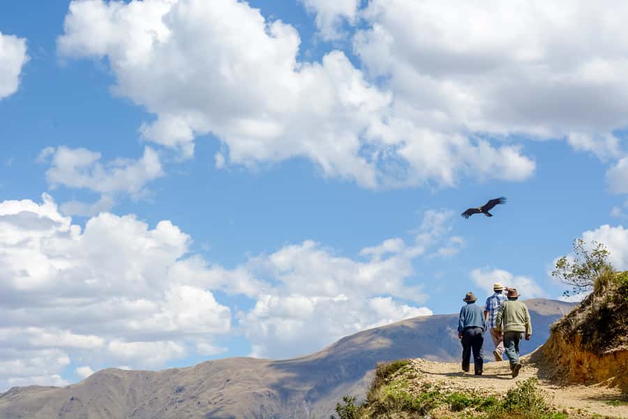 Full-Day Condor Viewpoint & Inca Sites Tour - Quillarumiyoc and Tarawasi: Inca astronomy you can actually connect to the sky