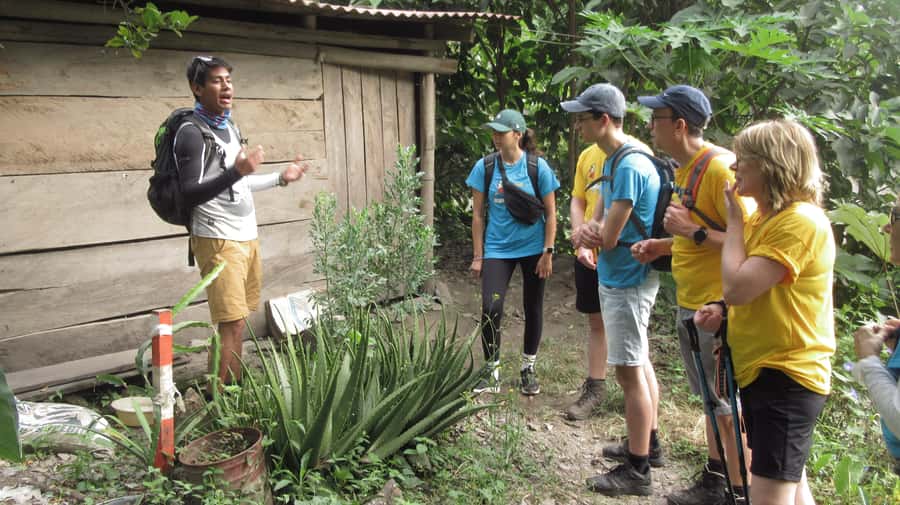 Inca Jungle Trail to Machu Picchu in 4 Days - 4 Days, One Mission: Cusco to Machu Picchu via Jungle Trails