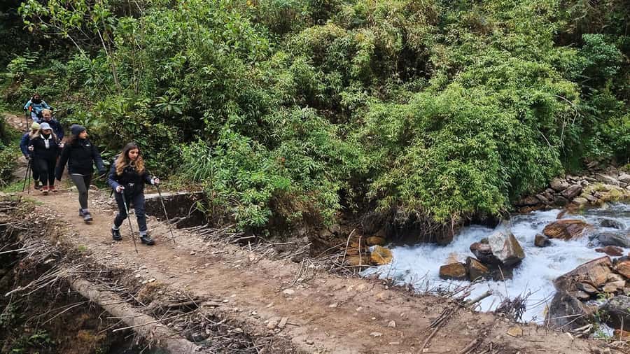 Inka Jungle trek to Machu Picchu 3 D/ 2 N - Day 2: zip line at Cola de Mono and the walk to Hidroeléctrica