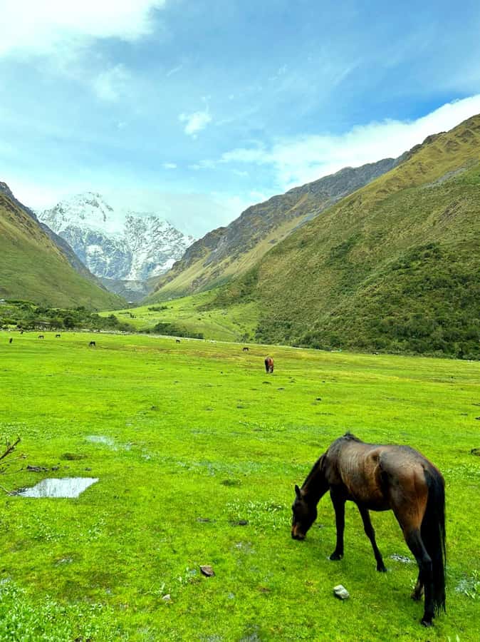 Lagoon Humantay. Full Day Tour with Breakfast and Lunch - From Mollepata to Soraypampa: setting up the hike