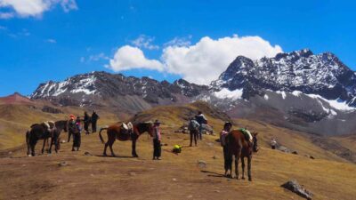 Lima: 7-Day Inca Tour with Flights and Machu Picchu - Paracas, Ica, and Huacachina: sea lions, pisco, and fast sand