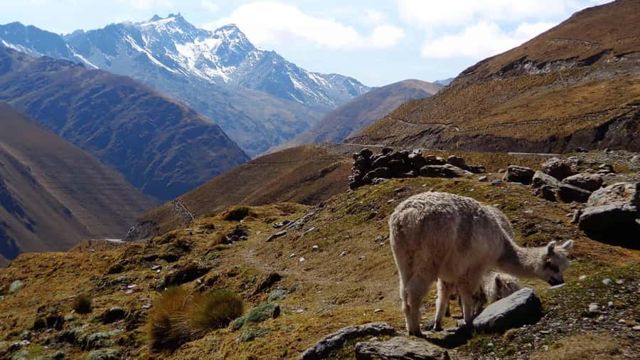 Machu Picchu 2 Days / 1 Night (By Bus) - The 2-hour walk to Aguas Calientes: why it matters