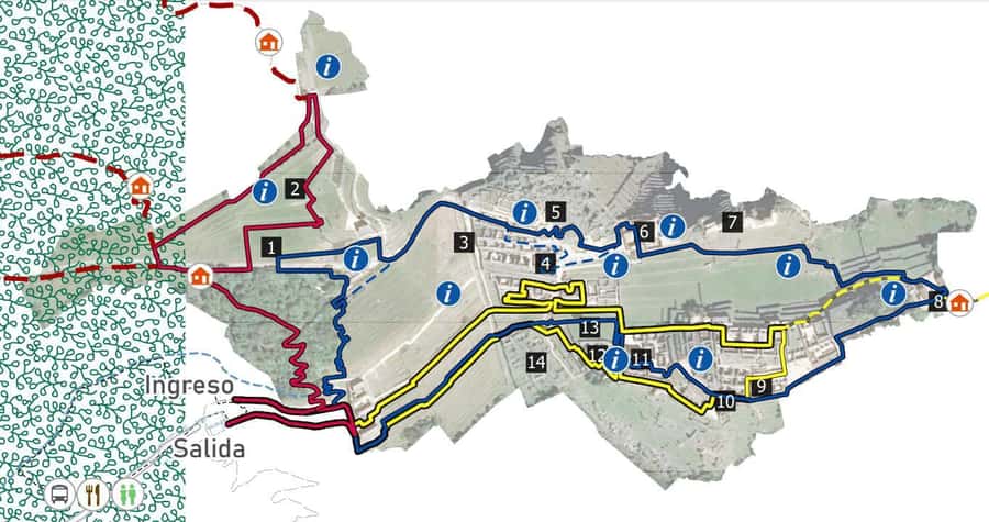 Machu Picchu Entry Ticket and Bus from Aguas Calientes - Key Things I’d Highlight Before You Go